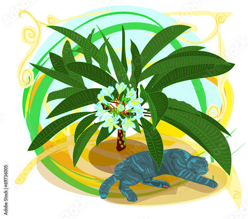 grey scottish fold cat lays under flowers of plumeria