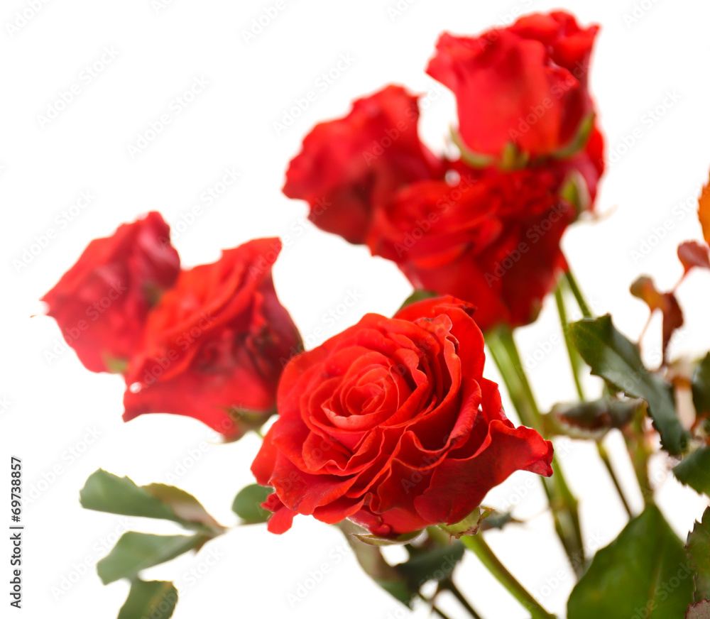 Bouquet of beautiful roses isolated on white Bouquet of beautiful roses isolated on white