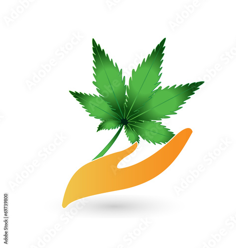 Hand and cannabis leaf plant vector icon logo