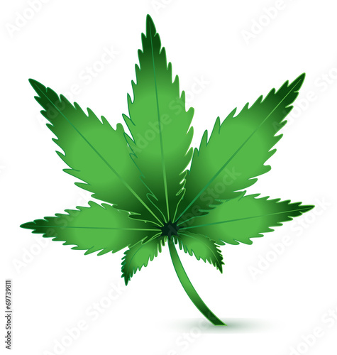 Cannabis Marijuana plant icon logo vector