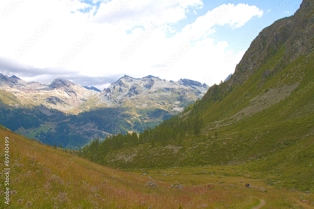 Mountain path, reaching for Grand Tournalin, Val D'Ayas - Alps