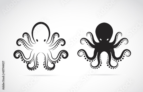 Vector of an octopus on white background. Animals.