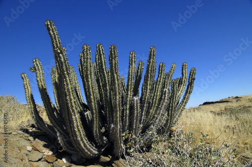 Desert Landscapes