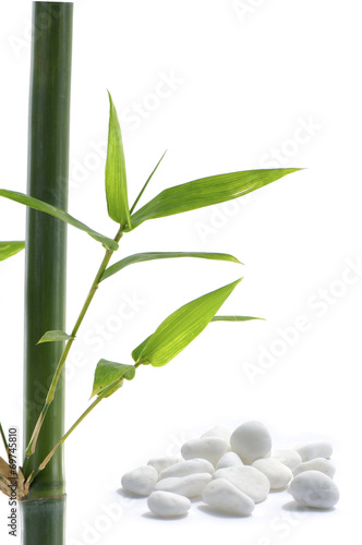 bamboo leafs and zen stones isolated on white