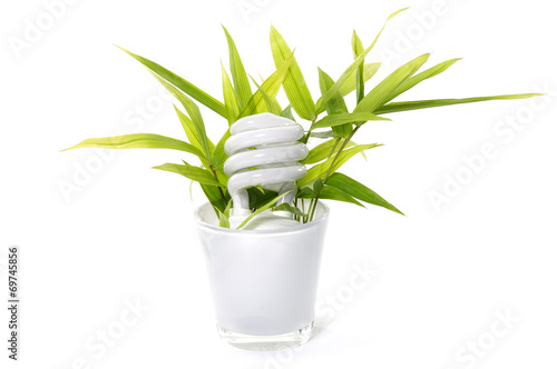 energy saving light bulb - environmental theme photo