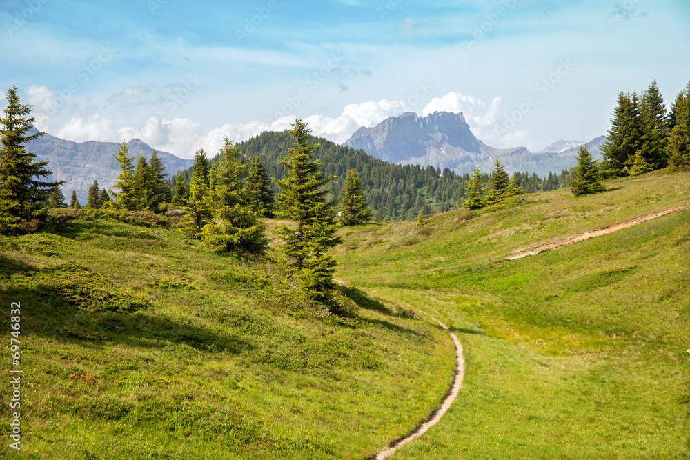 Fototapeta premium The mountain trail in Alps near from Saint-Gervais-les-Ba