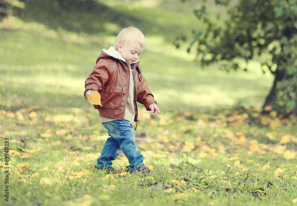 Cute child walks in autumn park, leaves, season Cute child walks in autumn park, leaves, season