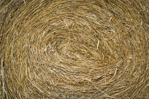 Dry straw background