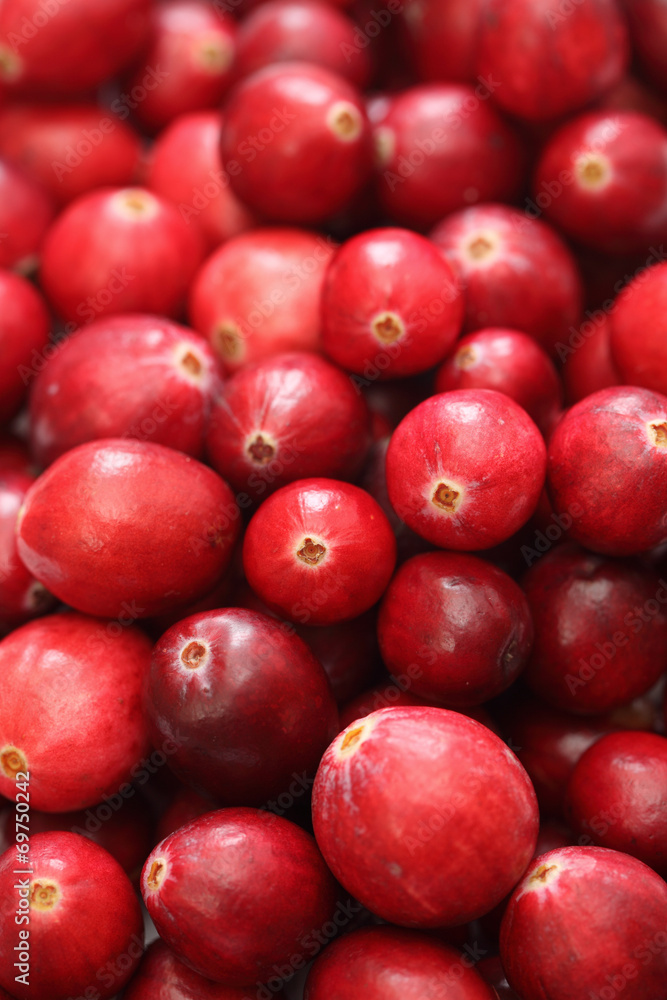 Cranberry close-up