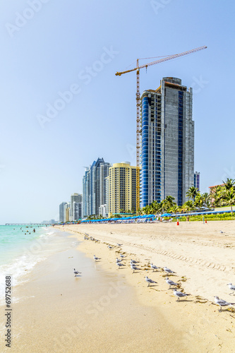  beach in Miami with skyscrapers and birds