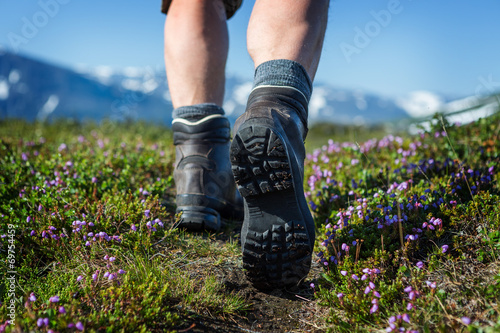 Hiking Boots between mountain flowers