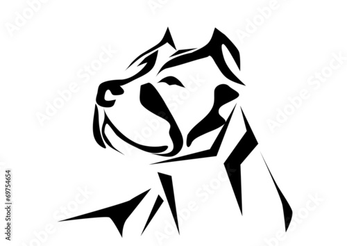 pitbull
