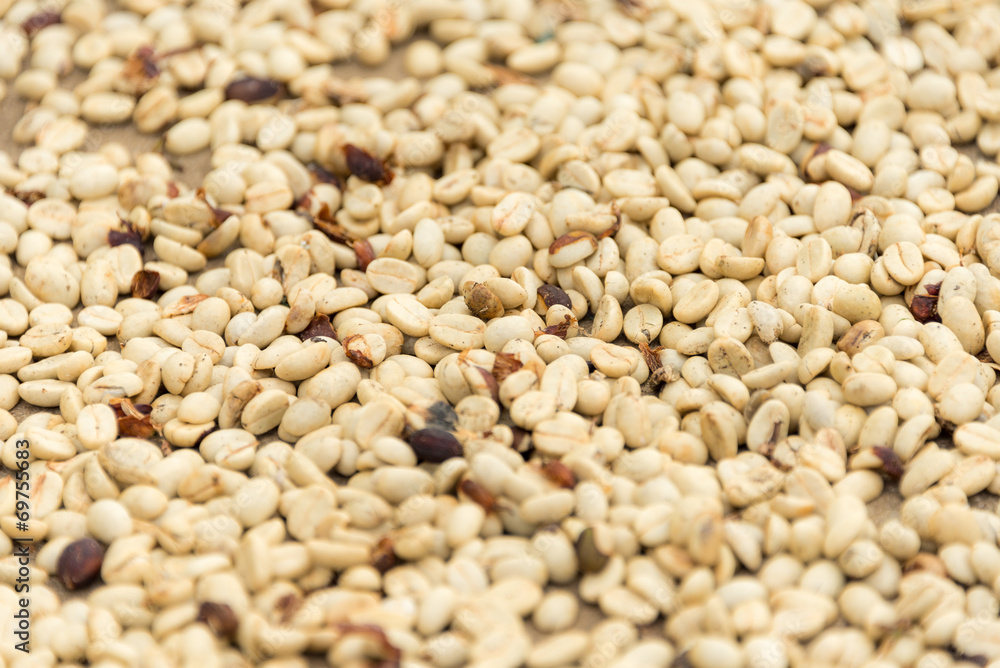 Raw coffee beans Raw coffee beans
