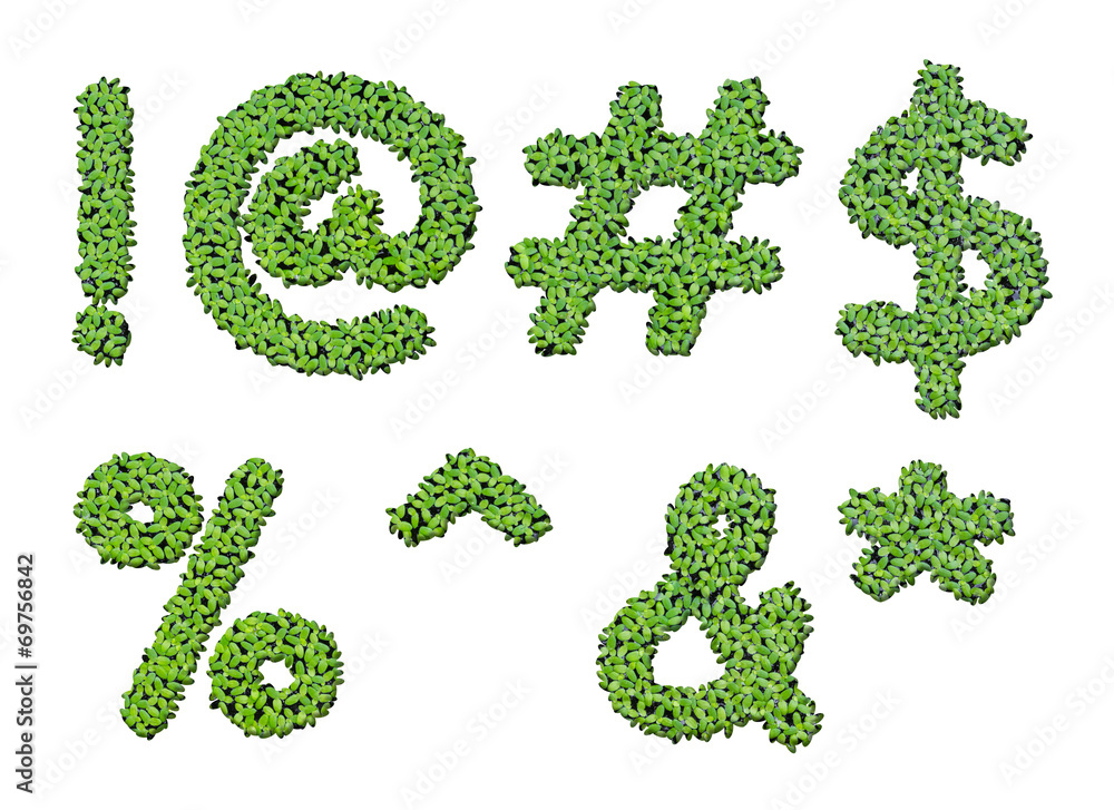 Collection of alphabet letter symbols from duckweed isolated on Collection of alphabet letter symbols from duckweed isolated on