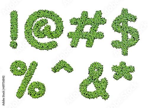 Collection of alphabet letter symbols from duckweed isolated on