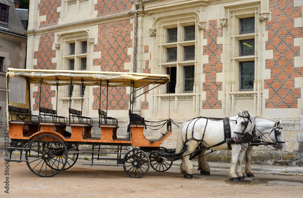 Blois, Frankreich, Pferdekutsche vor einem Schloss