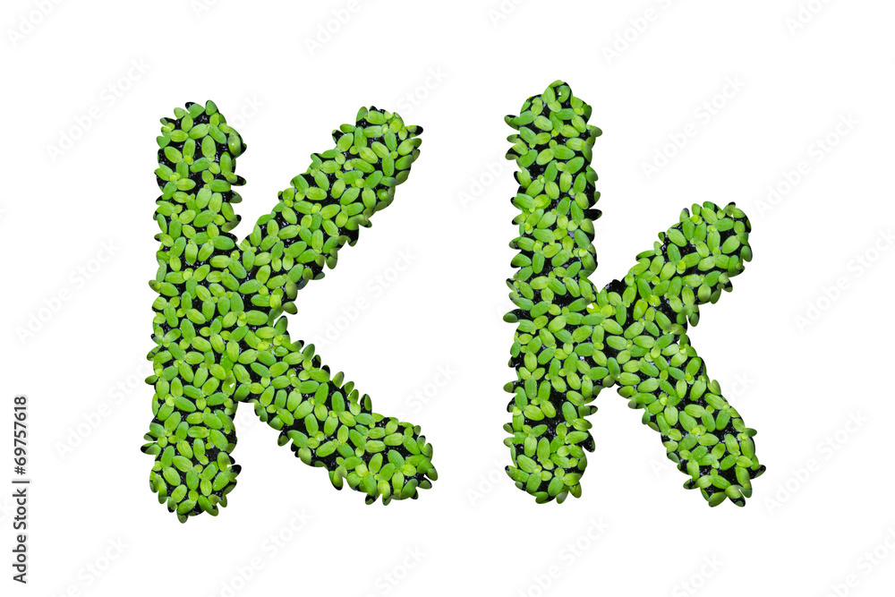 Duckweed alphabet letters Duckweed alphabet letters