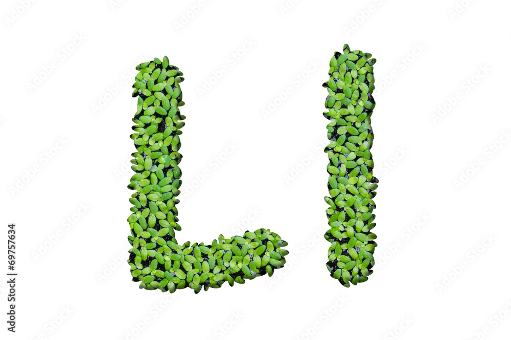 Duckweed alphabet letters Duckweed alphabet letters