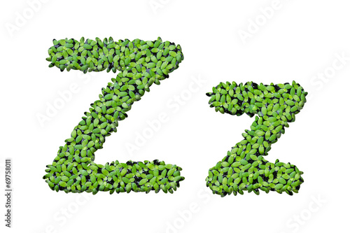 Duckweed alphabet letters "Z" isolated on white background