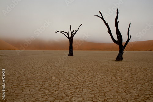 Sossusvlei - Namibia
