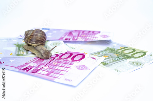 Snail on moneys