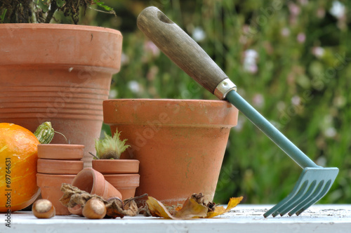 nettoyage d'automne au jardin