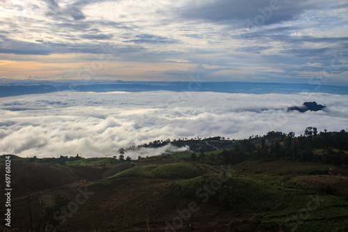 sea of fog with forests as foreground