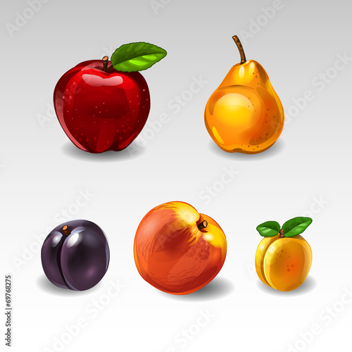 Fruit