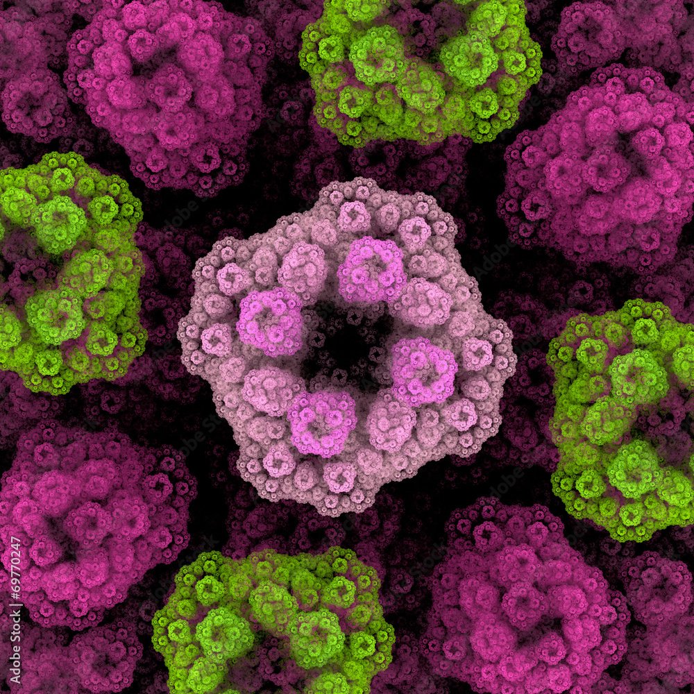 Symmetrical growth of bacteria Symmetrical growth of bacteria