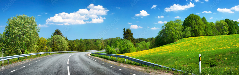 Asphalt road and dandelion field