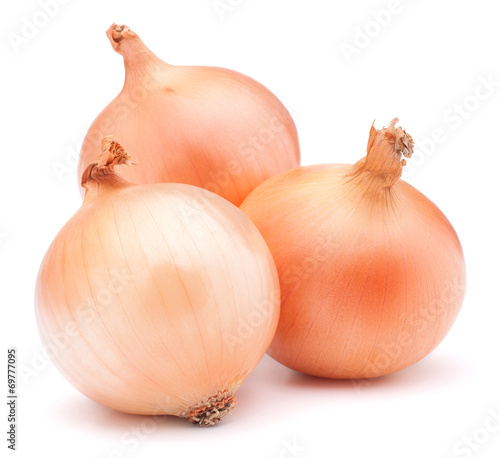 Wallpaper Mural Gold onion vegetable bulbs Torontodigital.ca