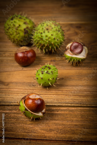 Autumn chestnut and acorn on table