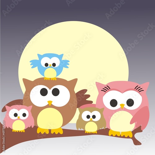 familia de buhos