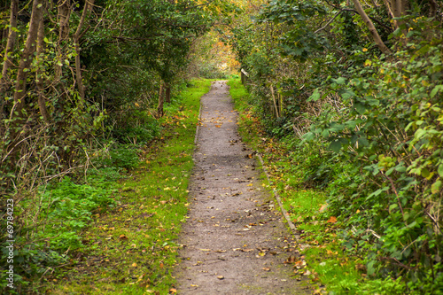 road in the park, Hythe, England