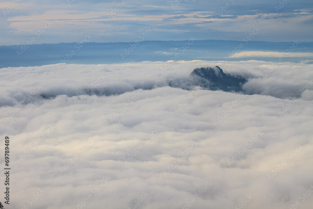 sea of fog with forests as foreground sea of fog with forests as foreground