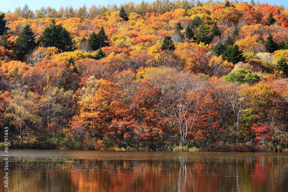 秋の戸隠高原　紅葉の小鳥ヶ池