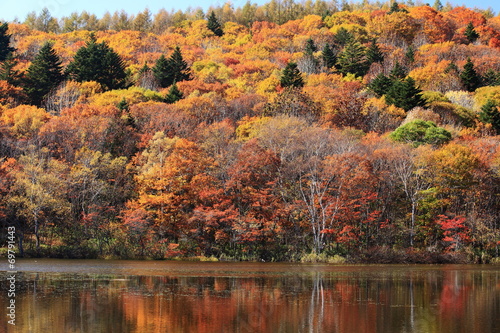 秋の戸隠高原 紅葉の小鳥ヶ池