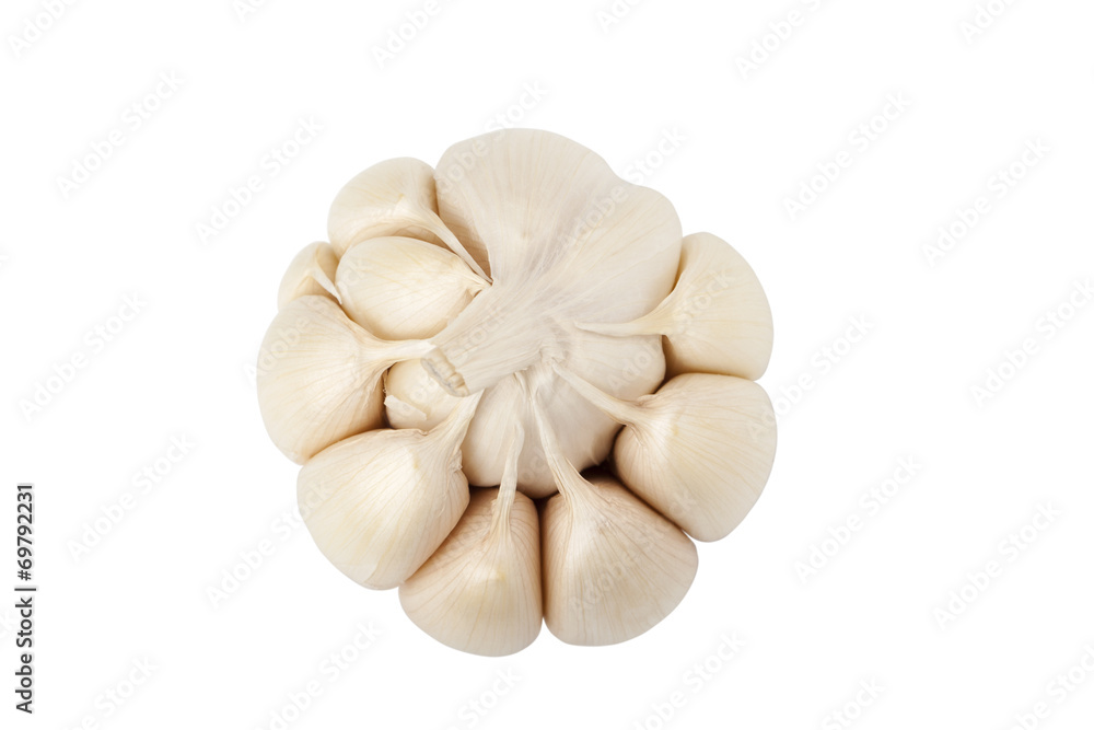 Garlic head and cloves Garlic head and cloves