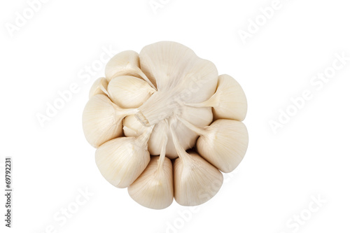 Garlic head and cloves