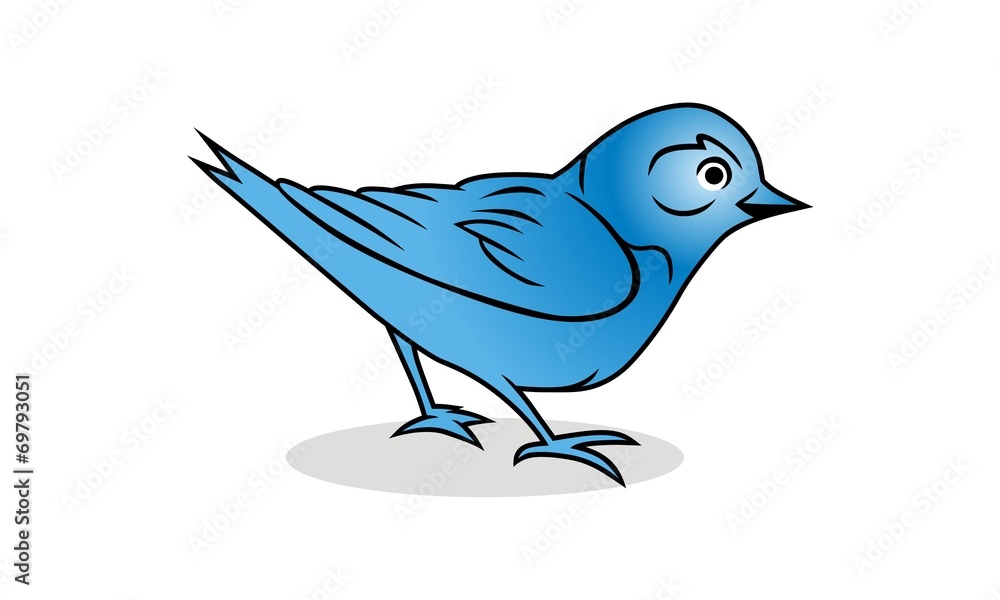 Blue Bird Blue Bird
