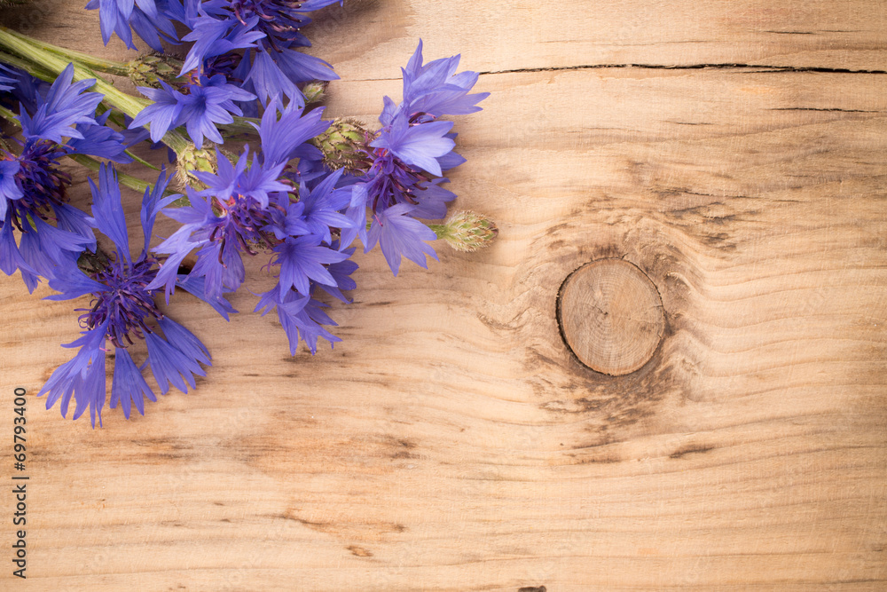 Cornflower. Cornflower.