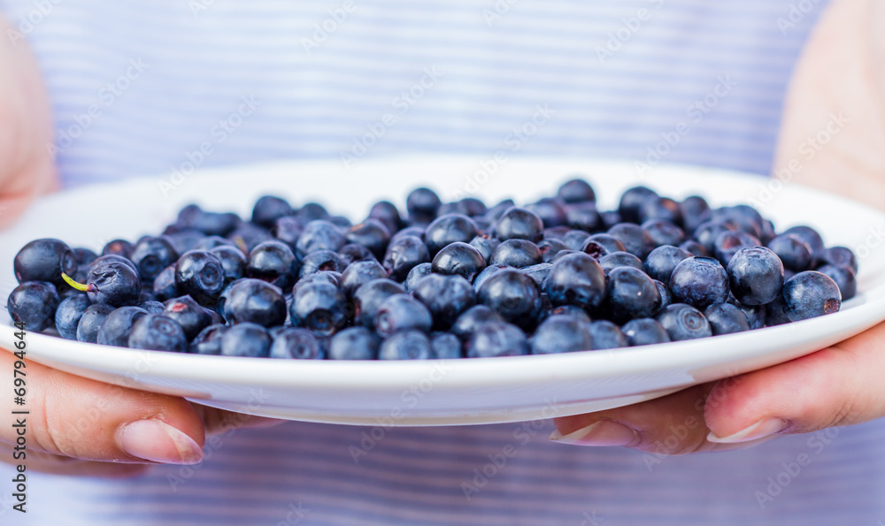 plate with blueberries in hand, horizontally plate with blueberries in hand, horizontally