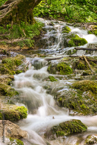 Fototapeta Naklejka Na Ścianę i Meble -  Stream of Water in Plitvice Lakes National Park