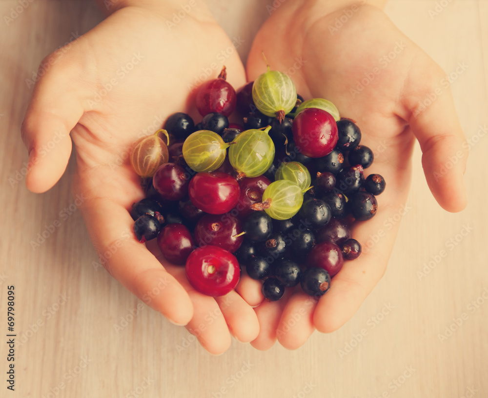 different bright berries in female hands different bright berries in female hands