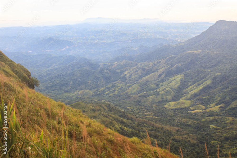 Naklejka premium green mountains and forest on top veiw