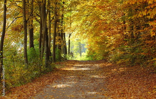 Landscape, view of path in autumnal park © ratmaner