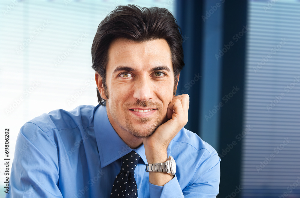 Smiling businessman in his office Smiling businessman in his office