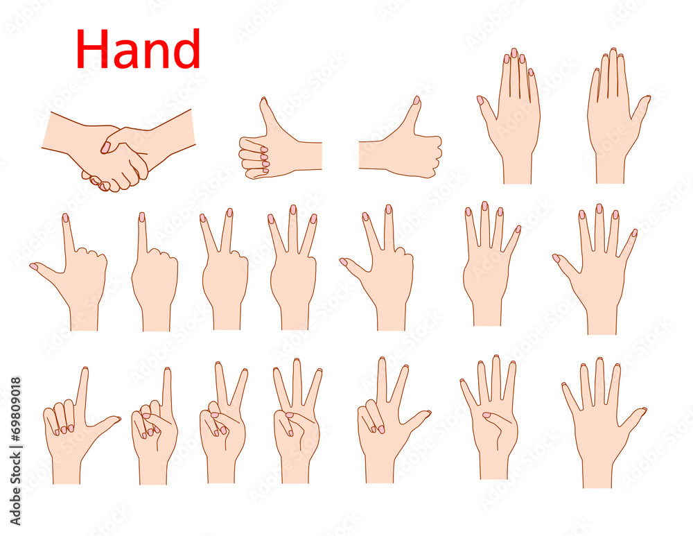 Fototapeta premium hand