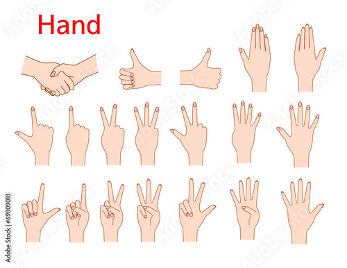 hand