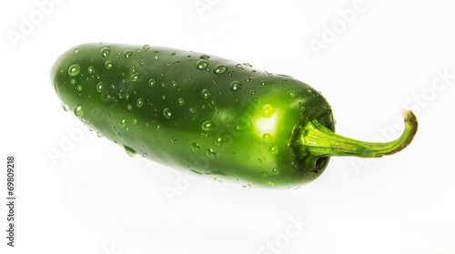 wet green jalapeno hot pepper